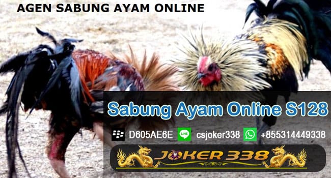 Sabung Ayam Online S128