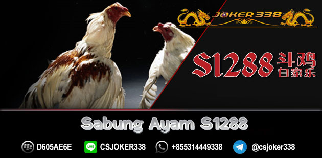 Sabung Ayam S12888